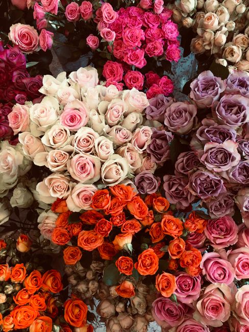 A vibrant assortment of fresh roses arranged in clusters, showcasing a variety of colors including soft blush pink, creamy white, lavender purple, and bright orange. The flowers are tightly packed wit