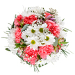 This bouquet is a radiant celebration of Upper Norwood's cheerful spirit and the renewal of spring. At its core, pristine white daisies with luminous green centers are surrounded by waves of coral-pink carnations, each ruffled petal contributing a playful softness to the mix. Airy gypsophila weaves through the display like a scattering of tiny stars, while sleek eucalyptus leaves and hints of dark green foliage intertwine with the blooms, lending a sense of freshness that mimics brisk walks on Church Road. Tucked discreetly among the flowers, blush-toned alstroemeria buds hint at forthcoming blossoms and a layered, sophisticated palette. The bouquet's rounded shape and intentionally balanced design evoke both celebration and gentle calm-perfect as a thoughtful gift for birthdays, heartfelt congratulations, or to simply add a touch of local joy to a home or office. With each fragrant stem, the arrangement captures the artistry and kindness of Upper Norwood's experienced florists, sharing a floral narrative that brightens life's most cherished moments and daily rituals alike.